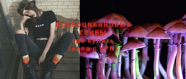 МДПВ Каменка