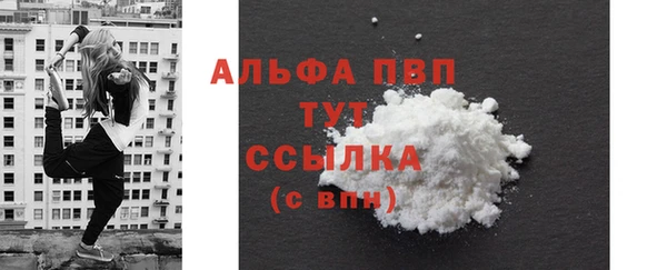 МДПВ Каменка