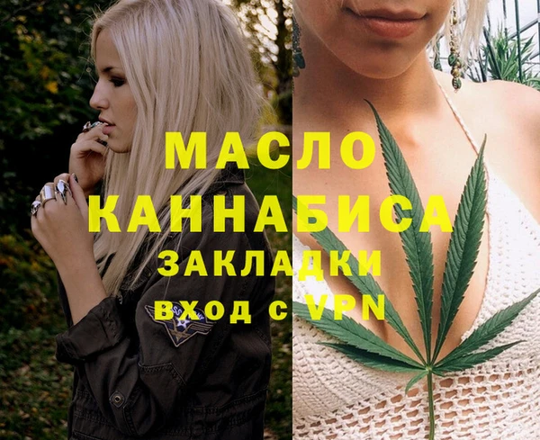 МДПВ Каменка