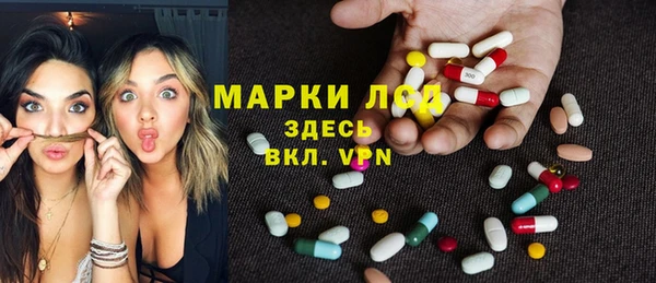 МДПВ Каменка