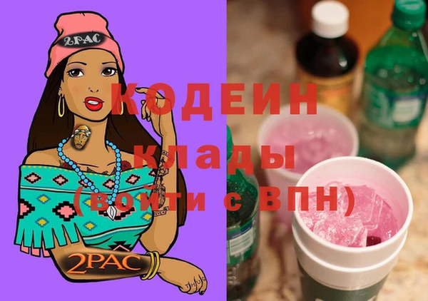 МДПВ Каменка
