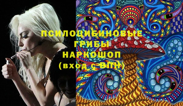 МДПВ Каменка